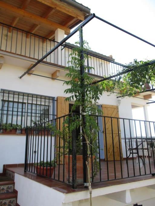 Villa Casa La Higuera à Chulilla Extérieur photo
