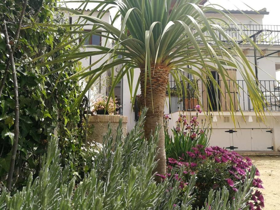 Villa Casa La Higuera à Chulilla Extérieur photo