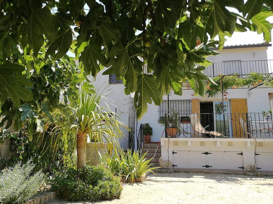 Villa Casa La Higuera à Chulilla Extérieur photo