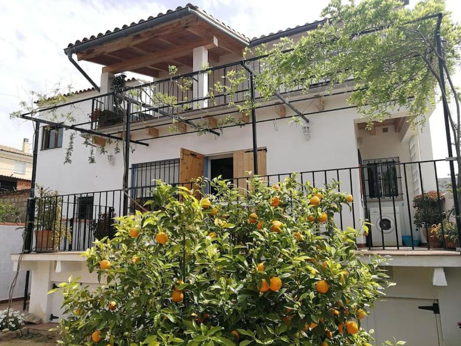 Villa Casa La Higuera à Chulilla Extérieur photo